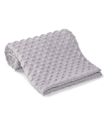 Brand Lab Minky Fleece Blanket - SVG - ONE